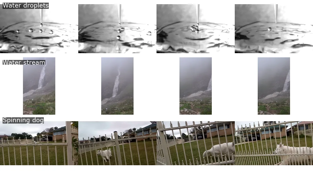 Sampled frames from the first three videos: water droplets, a stream of water, and a spinning dog